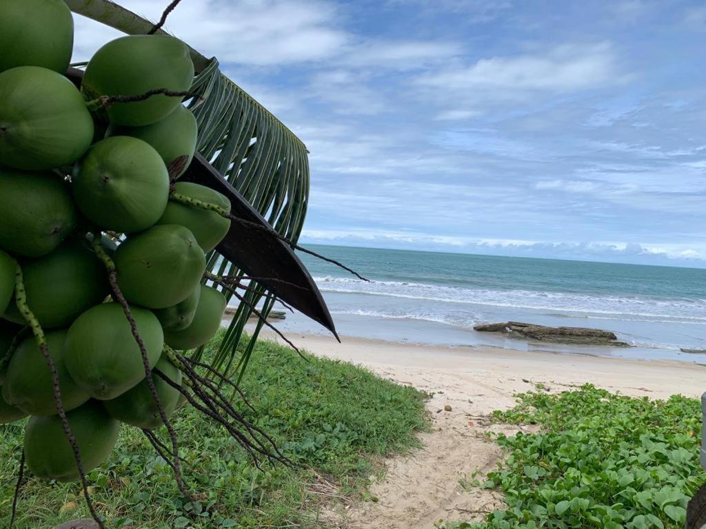 Casa No Paraiso Dos Carneiros Em Tamandaré Exterior foto